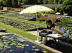 Jill Fellows, painting tutor working in southwest France