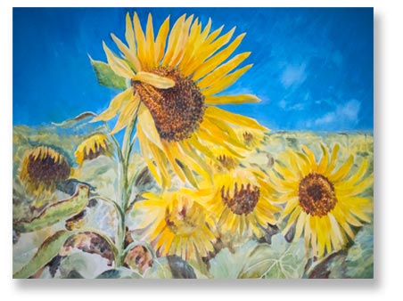 painting of sunflowers from southwest France painting vacation